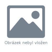 Logo Ki-Wi Digital Logo Ki-Wi Digital